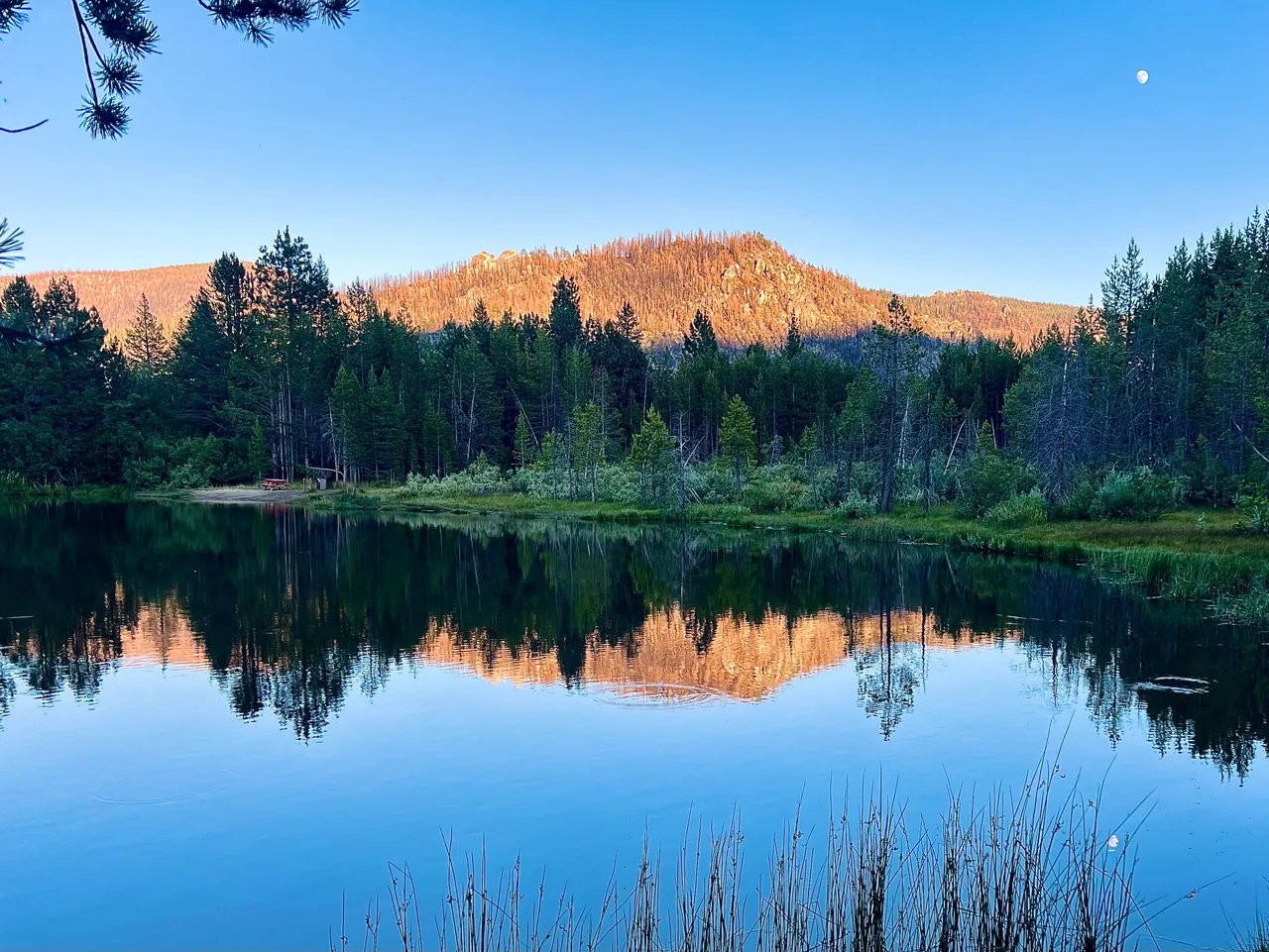 Warm light on a mountain ridge reflected in still water and framed by trees