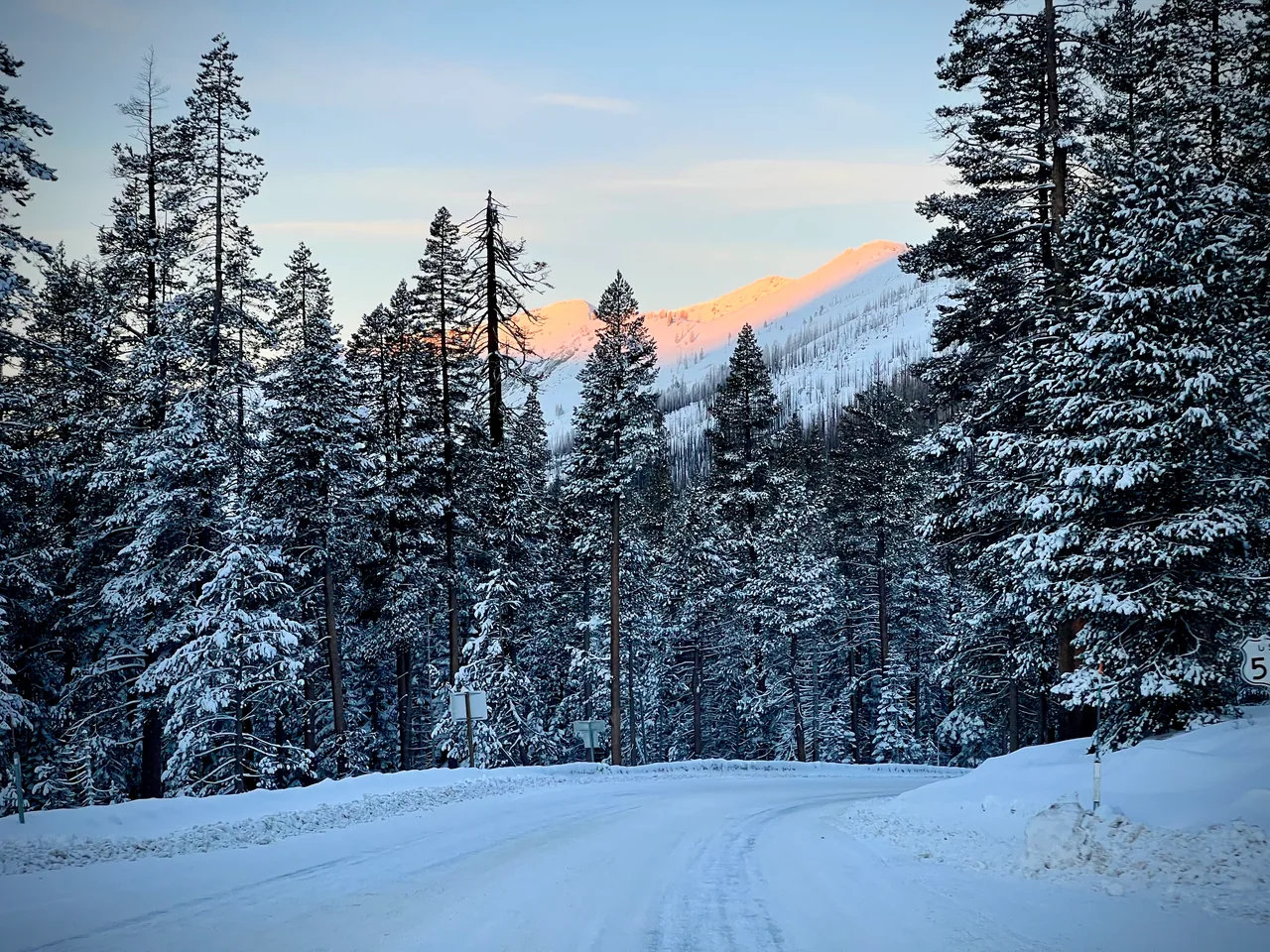 Snow-covered evergreens with a sunlit mountain ridge beyond